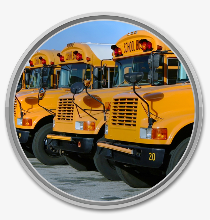 School Buses, transparent png download