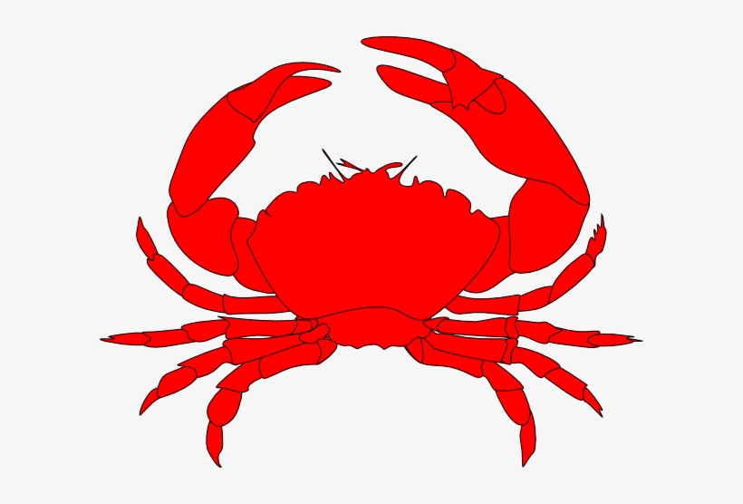 Cartoon Crab Png Best For Food Barf - Clip Art Crab, transparent png download