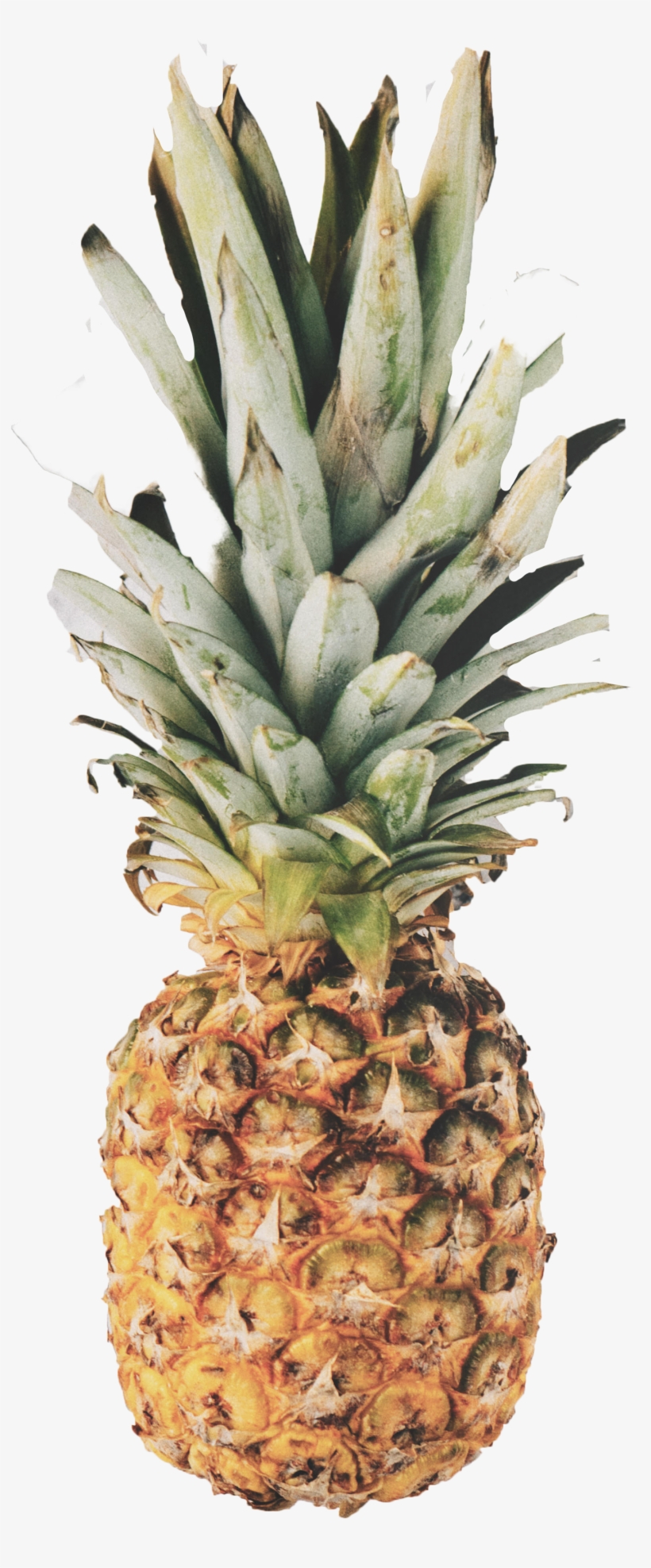 Pineapple Screensaver, transparent png download