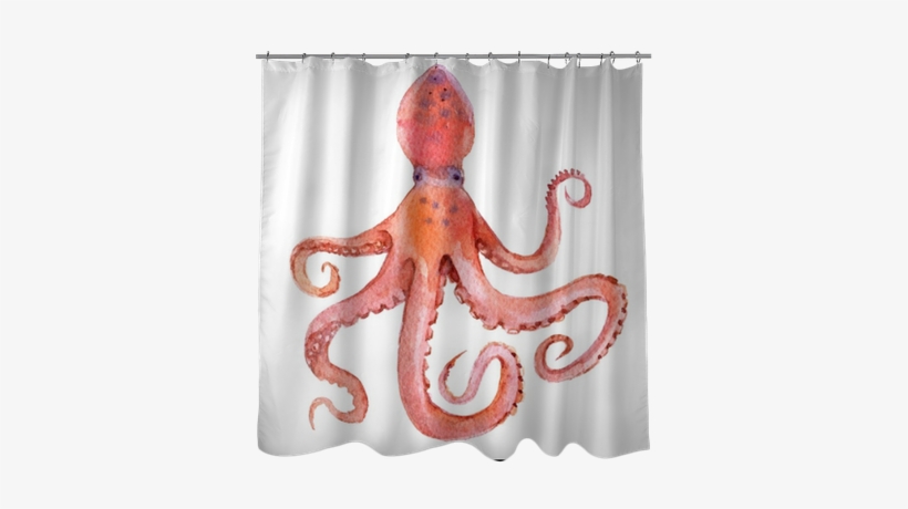 Octopus Isolated On White Background, Watercolor Illustration - Octopus, transparent png download