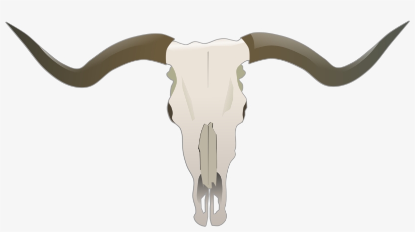 Clipart - Longhorn Skull, transparent png download