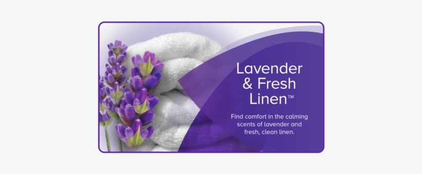 Lavender & Fresh Linen™ - Linen, transparent png download