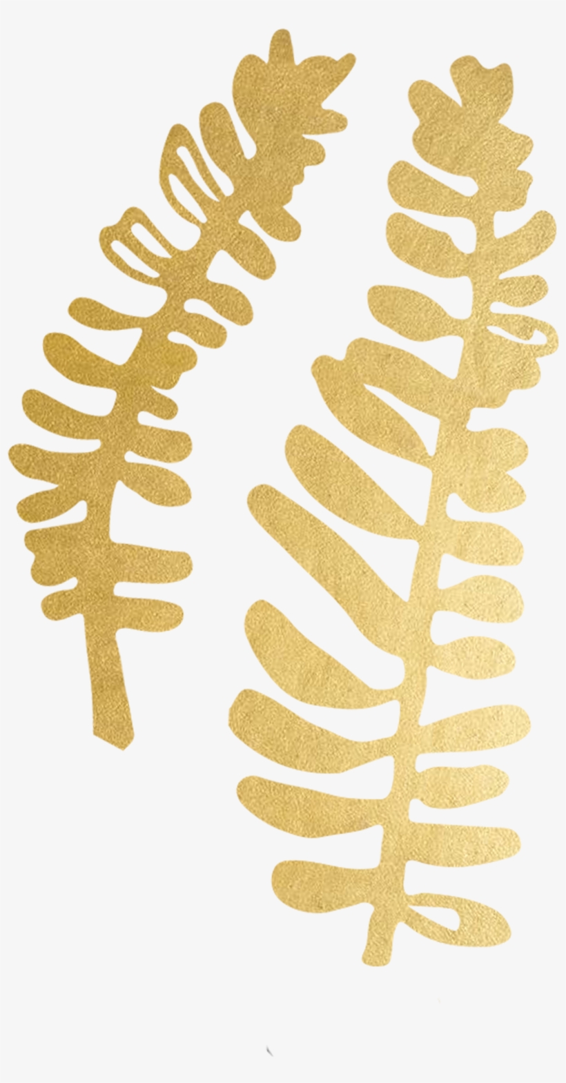 Tattly Bunke Lotta Jansdotter 00 V=1532012750 - C.r. Gibson 16 Count Boxed Notes, Bunke (cn62-12878), transparent png download