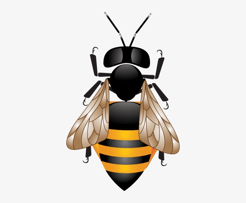 Bee Hd Svg Clip Arts 378 X 595 Px, transparent png download