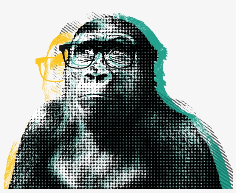 Austin Web Design, Development, And Digital Strategy - Design Boy, transparent png download
