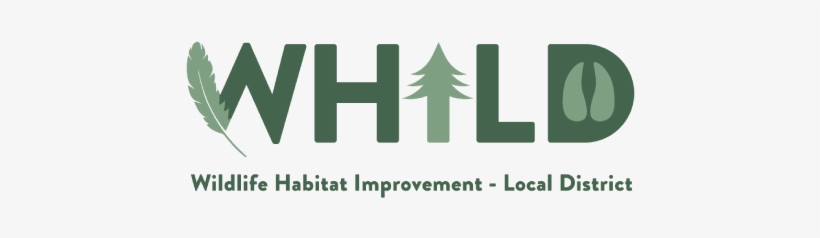 Past Logo Clients - Graphic Design, transparent png download