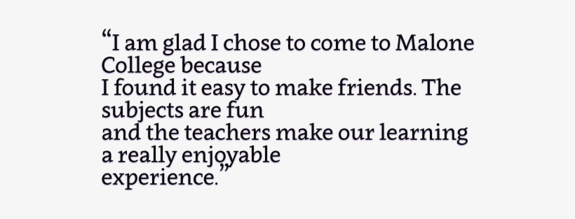 04 - Roan, transparent png download