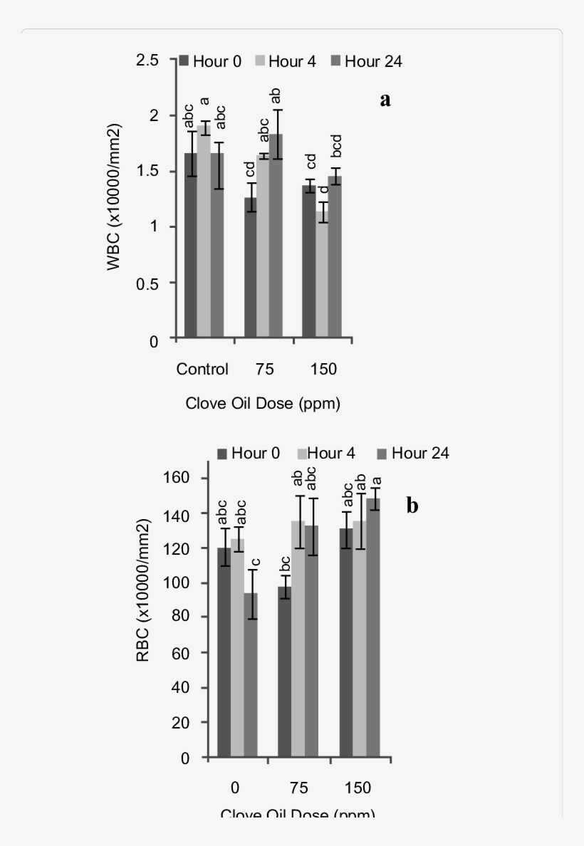 Effect Of Different Clove Oil Concentrations On Wbc - Cylinder, transparent png download