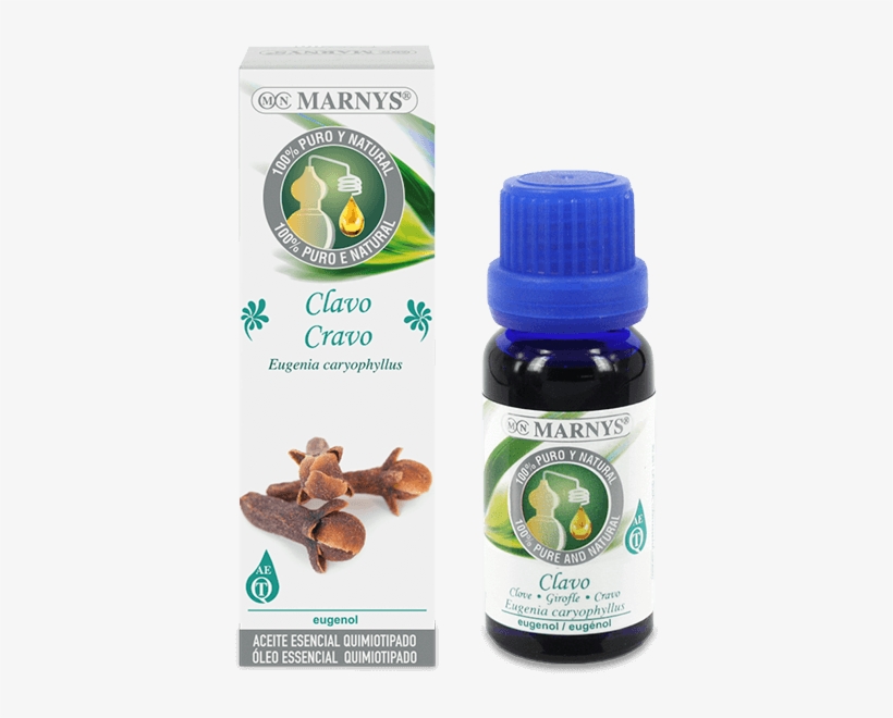 Clove Essential Oil - Aceite De Anis De Estrella, transparent png download