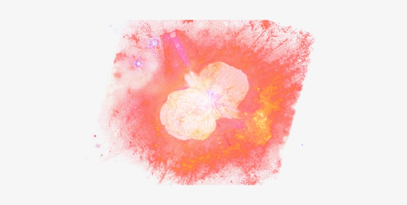 Homo - Watercolor Paint, transparent png download