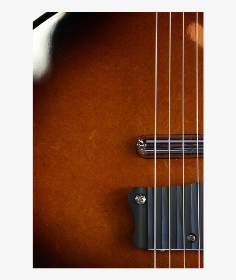Danelectro Baby Sitar Sitarwood, transparent png download
