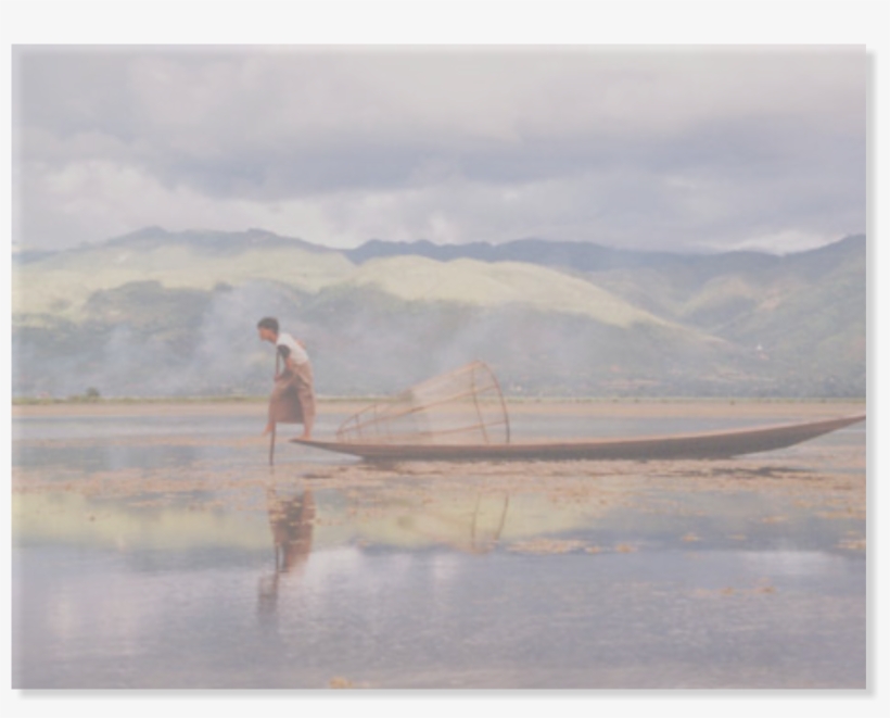 These Traditional Instruments Were All Purchased In - Reflection, transparent png download