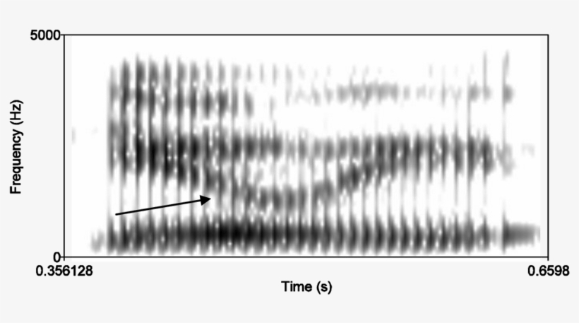 Spectrogram Of Glasgow Non-asian Male Saying Daily - Monochrome, transparent png download