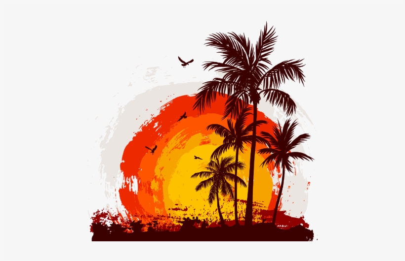 Backwater, Florida (florida Books), transparent png download
