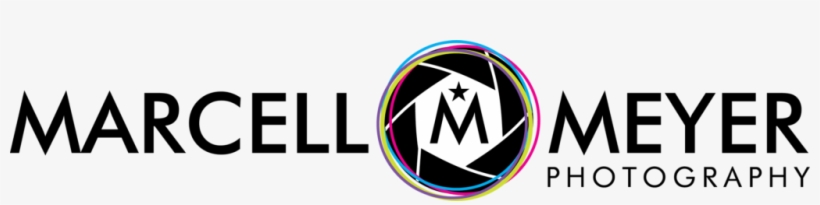 Logo World News Png, transparent png download