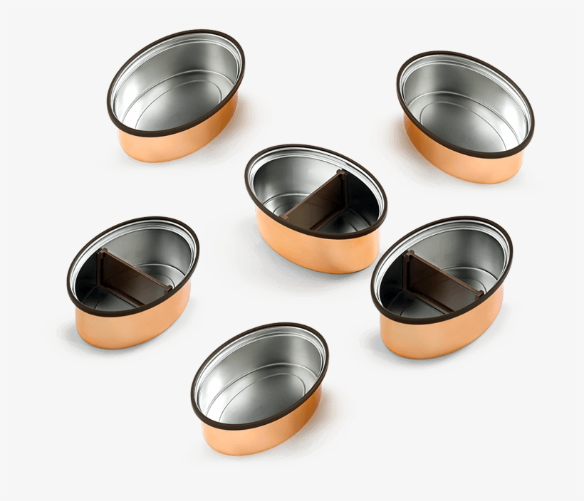 Designed For Flexibility - Vaya Tyffyn 600 (cheetah), transparent png download