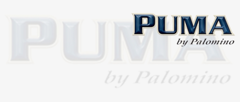 Puma-headline - Partes De La Noticia, transparent png download