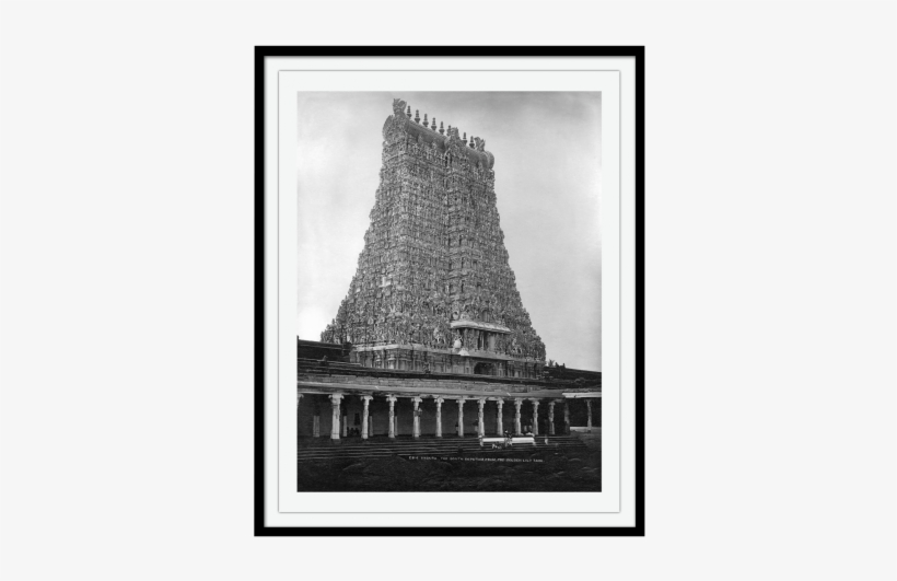 Colin - Colin Murray, transparent png download