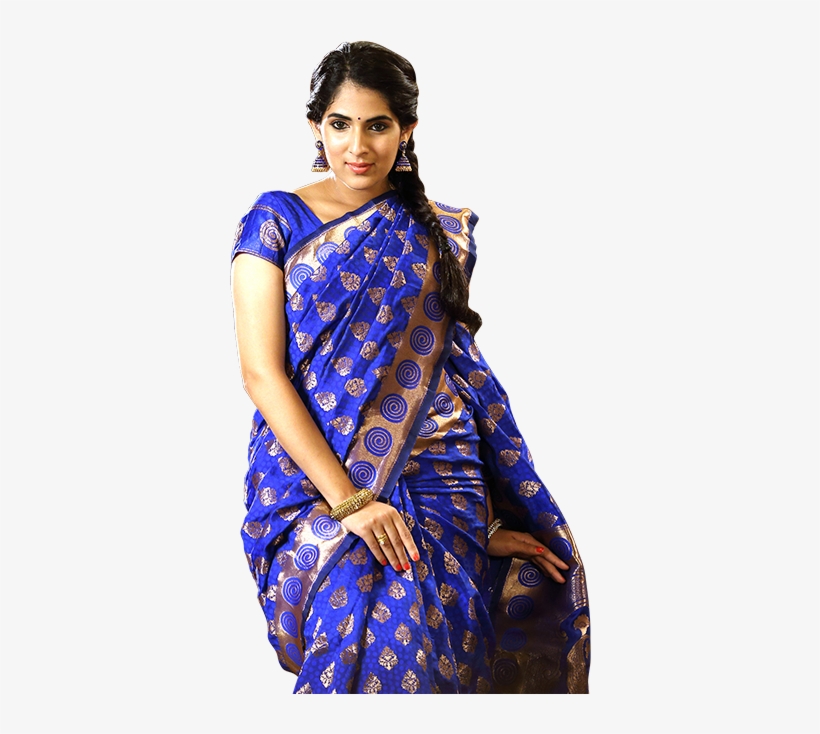 Sari, transparent png download