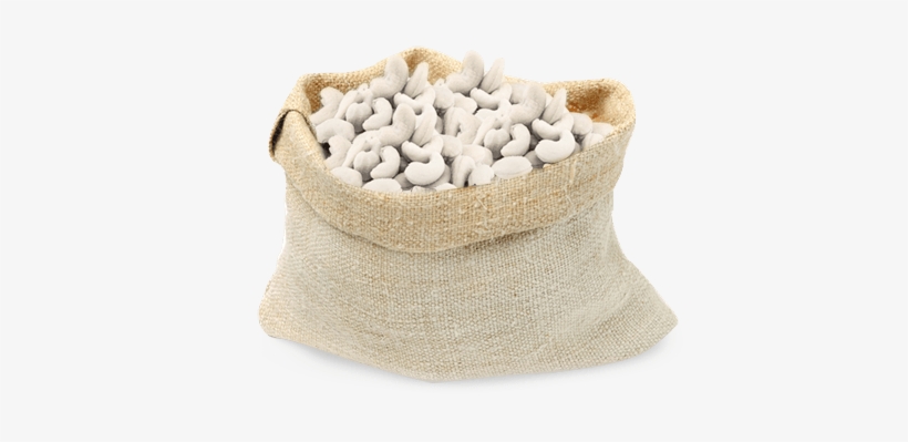 White - Cashew, transparent png download