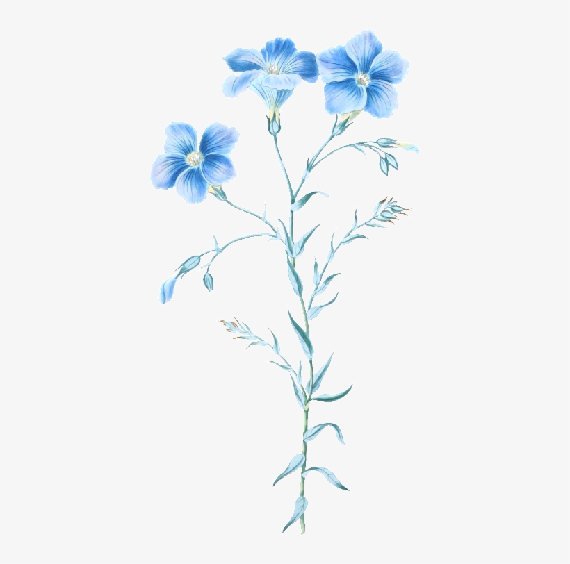 Transparent Material For Elegant And Refined Hand Painted - Flower Vintage Blue Png, transparent png download
