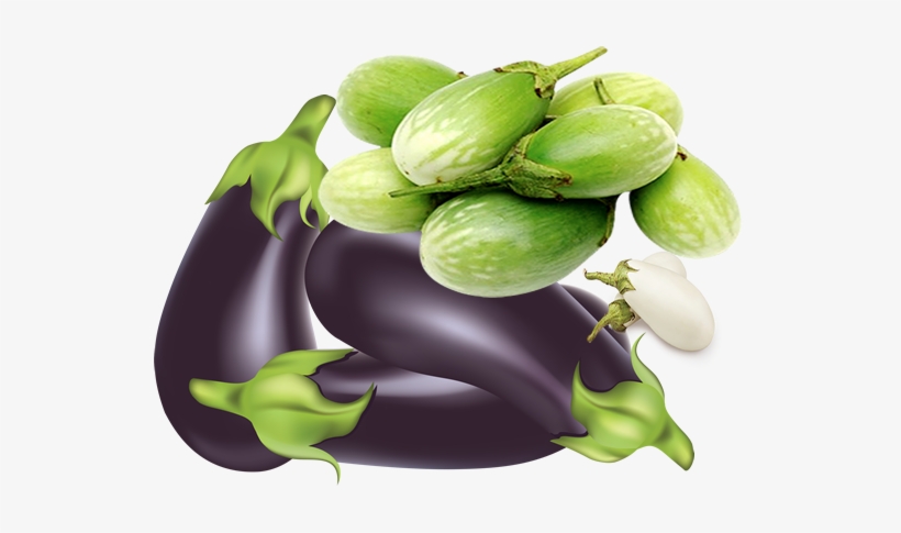 It Also Helps Prevent Calcification Of The Arteries, - Eggplants Clipart, transparent png download