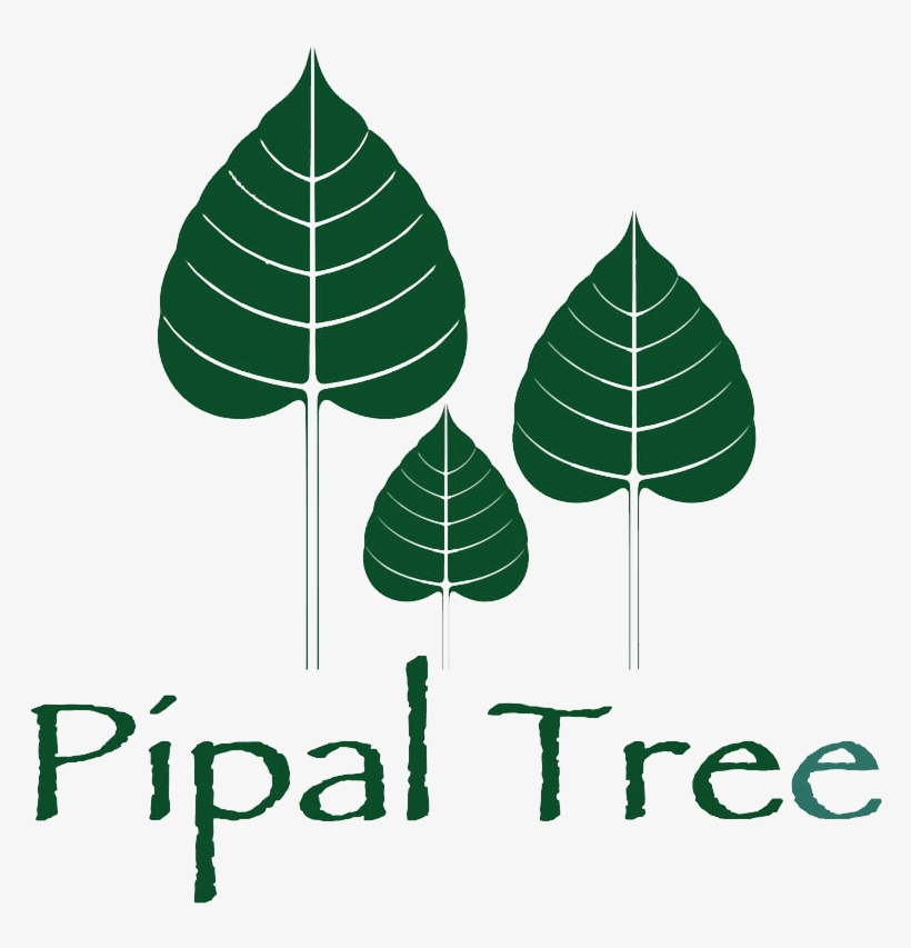 Coming Soon - Illustration, transparent png download