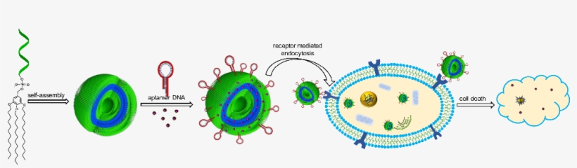 Murali Golla, Sai Praveen Thadi, Devanathan Perumal, - Circle, transparent png download