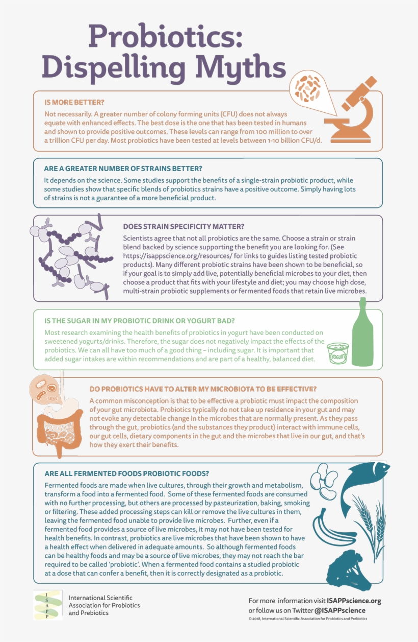 Gutmicrobiota Health On Twitter - Health, transparent png download