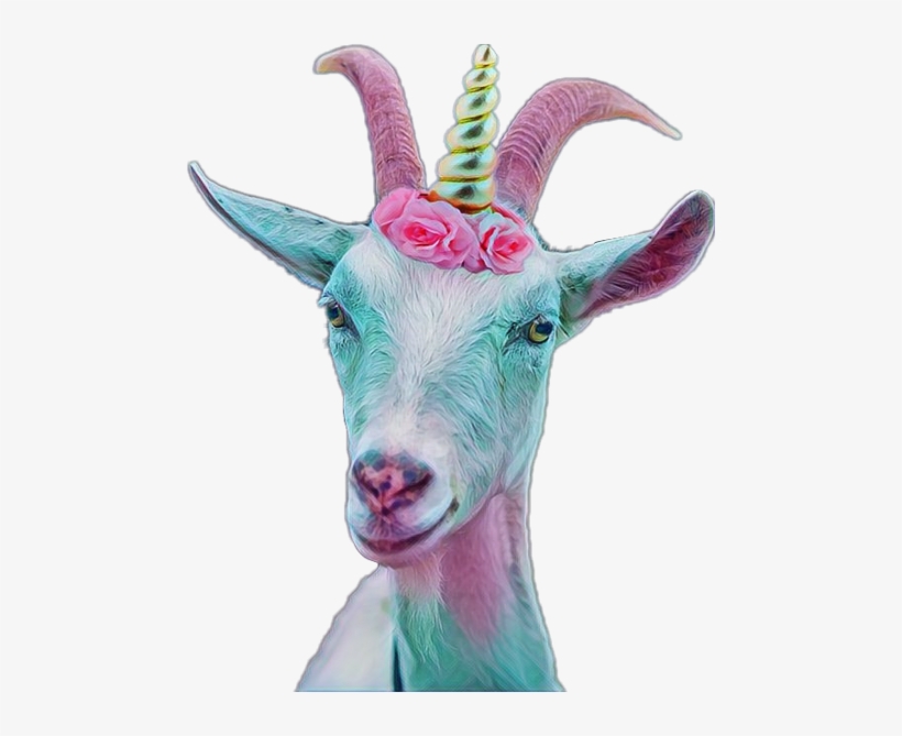 Goat, transparent png download