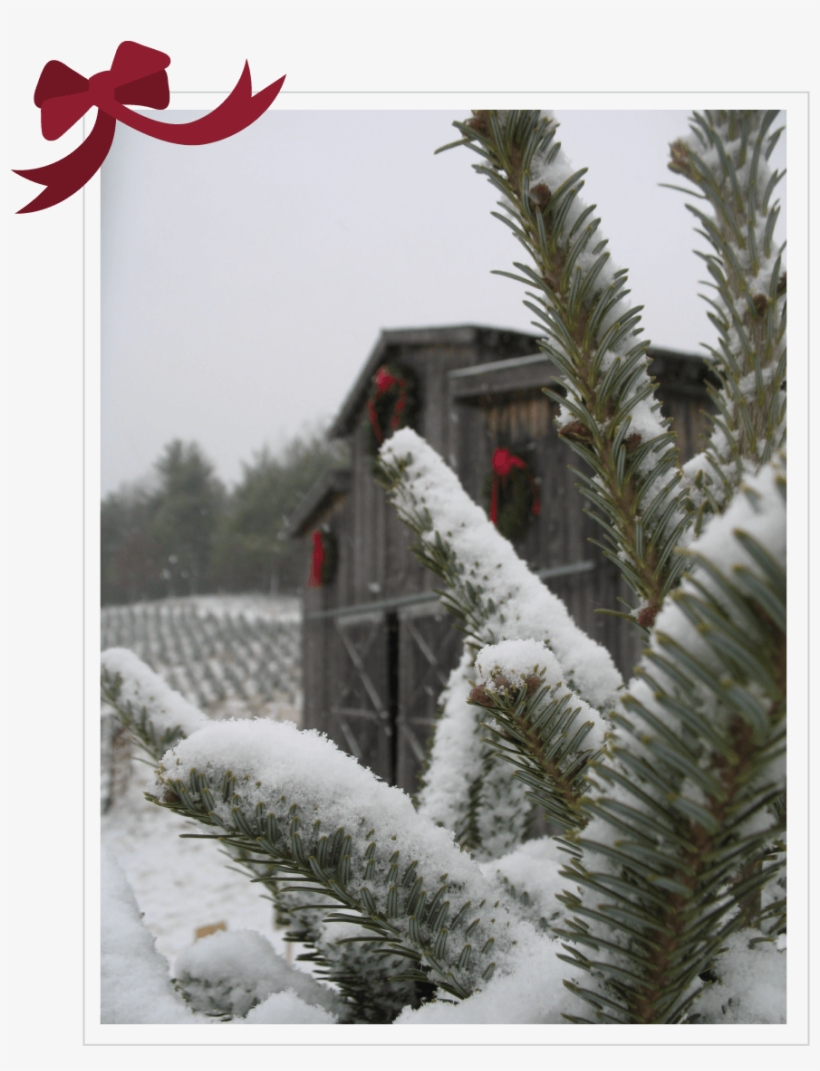 Greetthefarm - C-barn, transparent png download