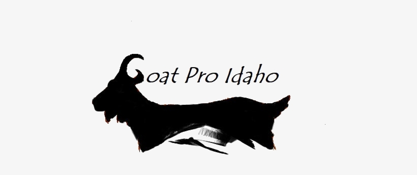 Goat Pro Idaho - Goat, transparent png download