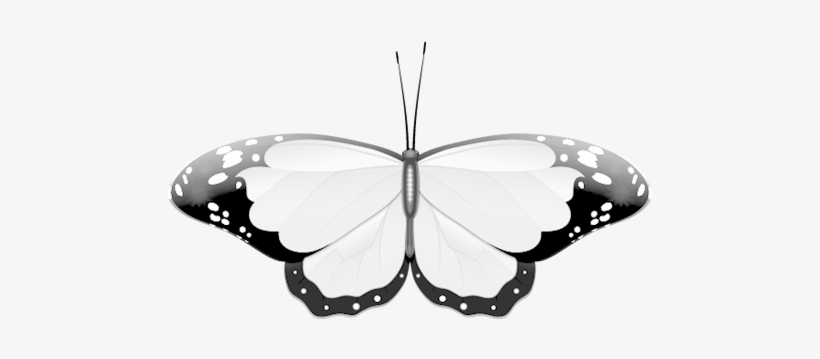 Wedding Clipart Butterfly - Butterfly Clipart Black And White Png, transparent png download