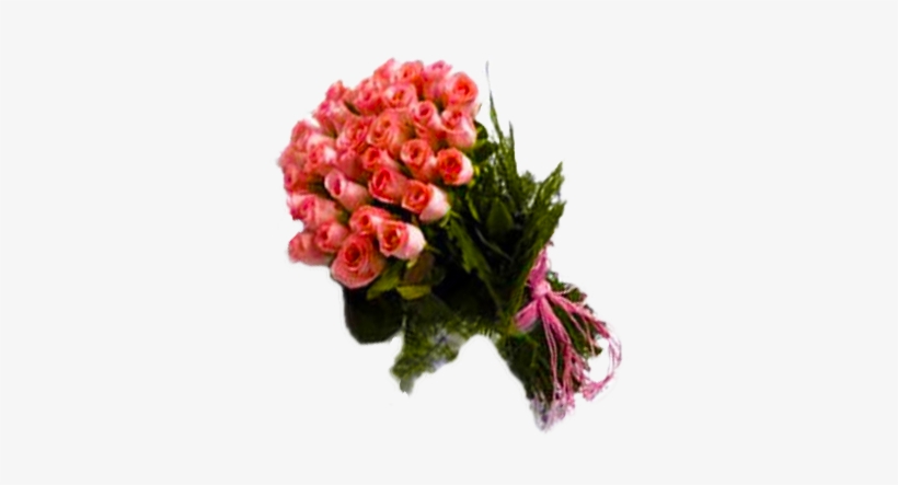 Blushing Pink Roses Bunch - Search Engine, transparent png download