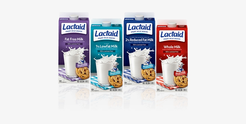 Lactaid® Milk - Lactaid 100% Lactose Free Sour Cream, 16 Oz, transparent png download