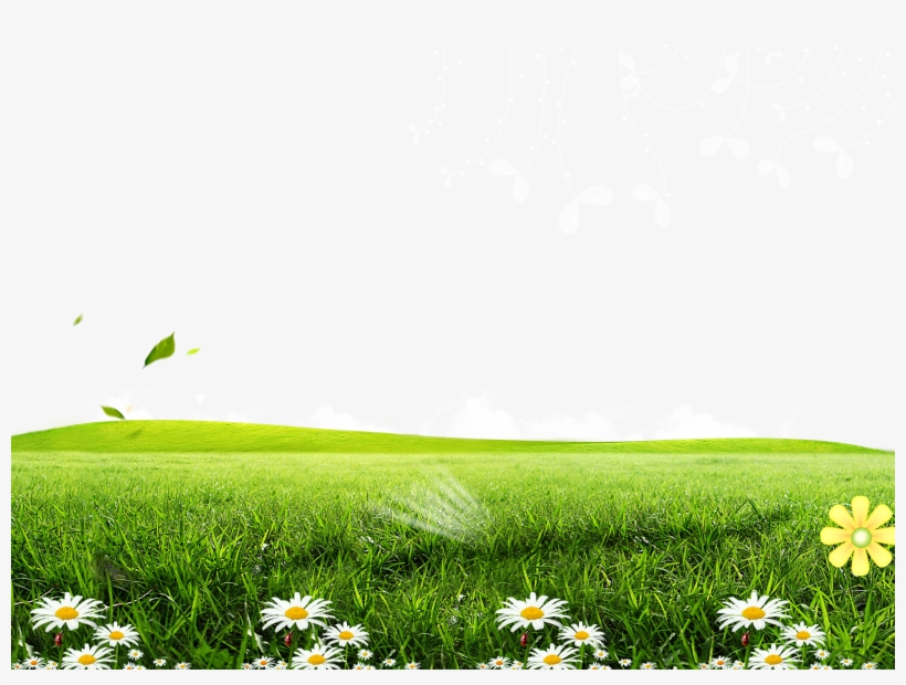 Green Lawn Poster Wallpaper - Png Background Download, transparent png download
