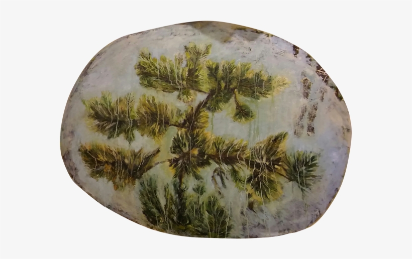 Oil On Wood - Mexican Pinyon, transparent png download