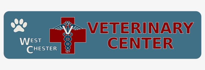 Warmer Weather Usually Means More Time Spent Outside - West Chester Veterinary Center, transparent png download