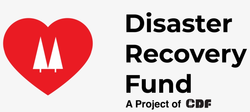 The Cooperative Development Foundation's Disaster Recovery - Master Painters Logo Nz, transparent png download