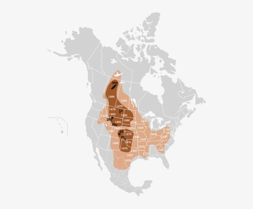 Buffalo 19th Century - Saint Elias Mountains Map, transparent png download