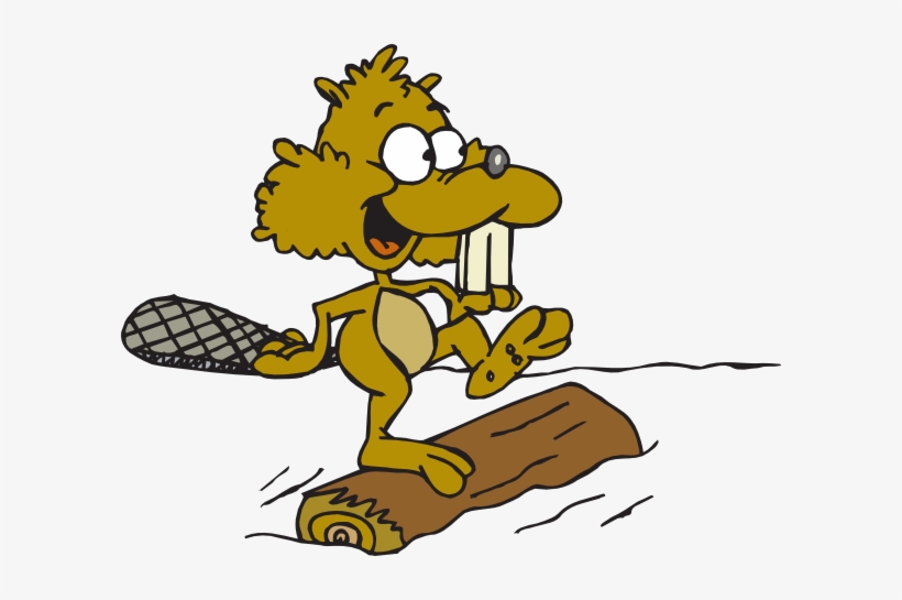 Beaver - Water Log Clipart, transparent png download