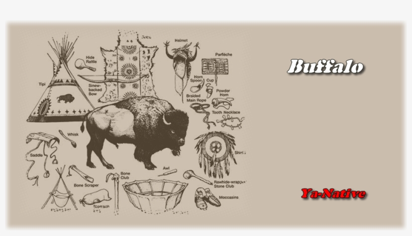 The Buffalo Is A Symbol Of Abundance And Manifestation - Native American Buffalo, transparent png download
