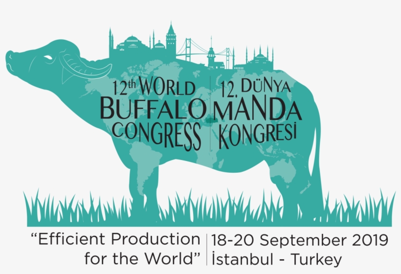 12th World Buffalo Congress, Istanbul, Turkey - Punxsutawney Phil, transparent png download