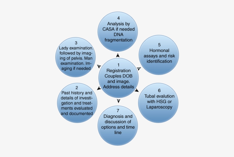 Krishna Ivf Clinic - Focus On Quality, transparent png download