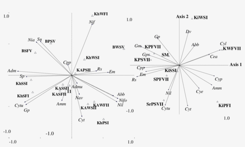 Z Ii Khanda R - Diagram, transparent png download