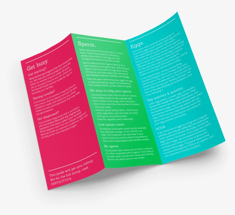 Trifold Presentation Mockup Vol 6 Part - Book, transparent png download