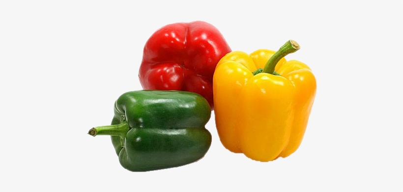 Pepper “capsicum” - Capsicum Vegetable, transparent png download