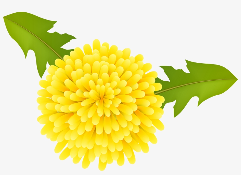 Dandelion Clipart High Resolution - Layne Redmond Chakra 3, transparent png download