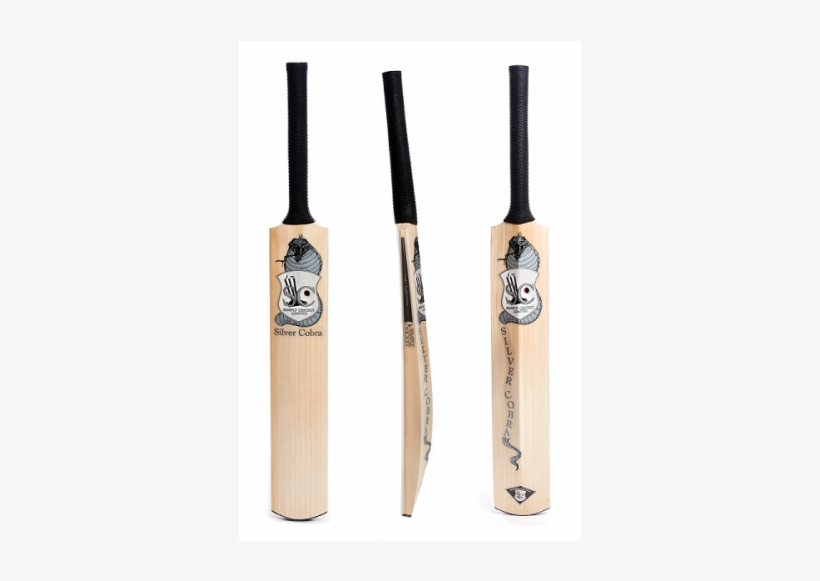 Cricket, transparent png download