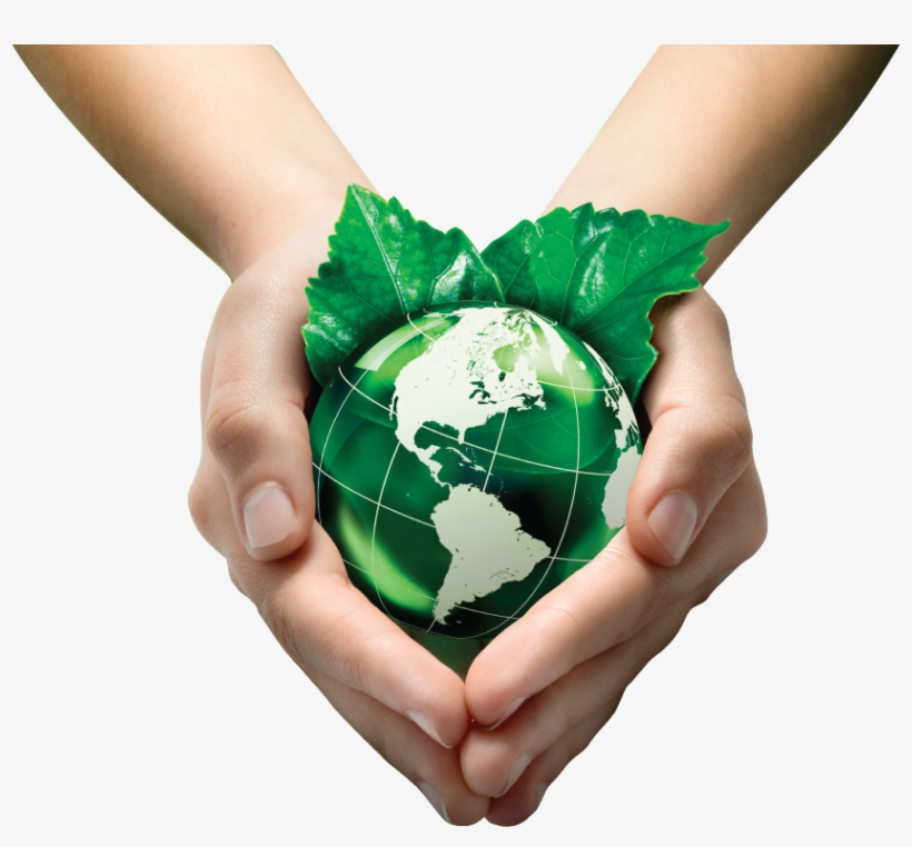 My Low Carbon Life, transparent png download